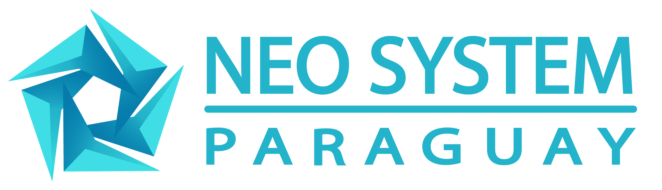 Neosystem Paraguay